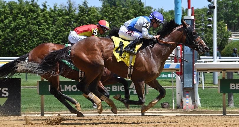 Corporate Power, Timeout look to make their sire proud in $135K Curlin