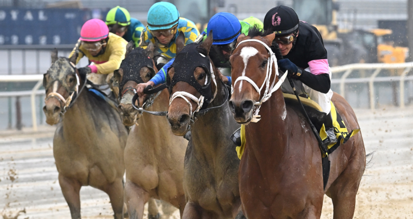 Maximus Meridius lands elusive stakes victory in $150K Gravesend