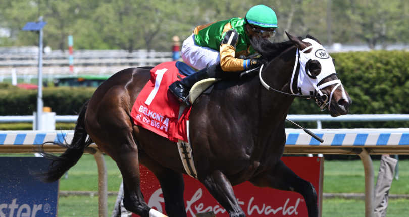 Rotknee much the best in gate-to-wire Affirmed Success score