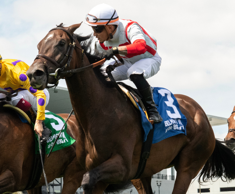 Royalty Interest strong from gate-to-wire in Grade 3 Sheepshead Bay
