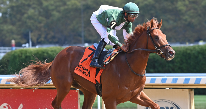 Vekoma Rides looks for first stakes win in Listed $150K Nashua